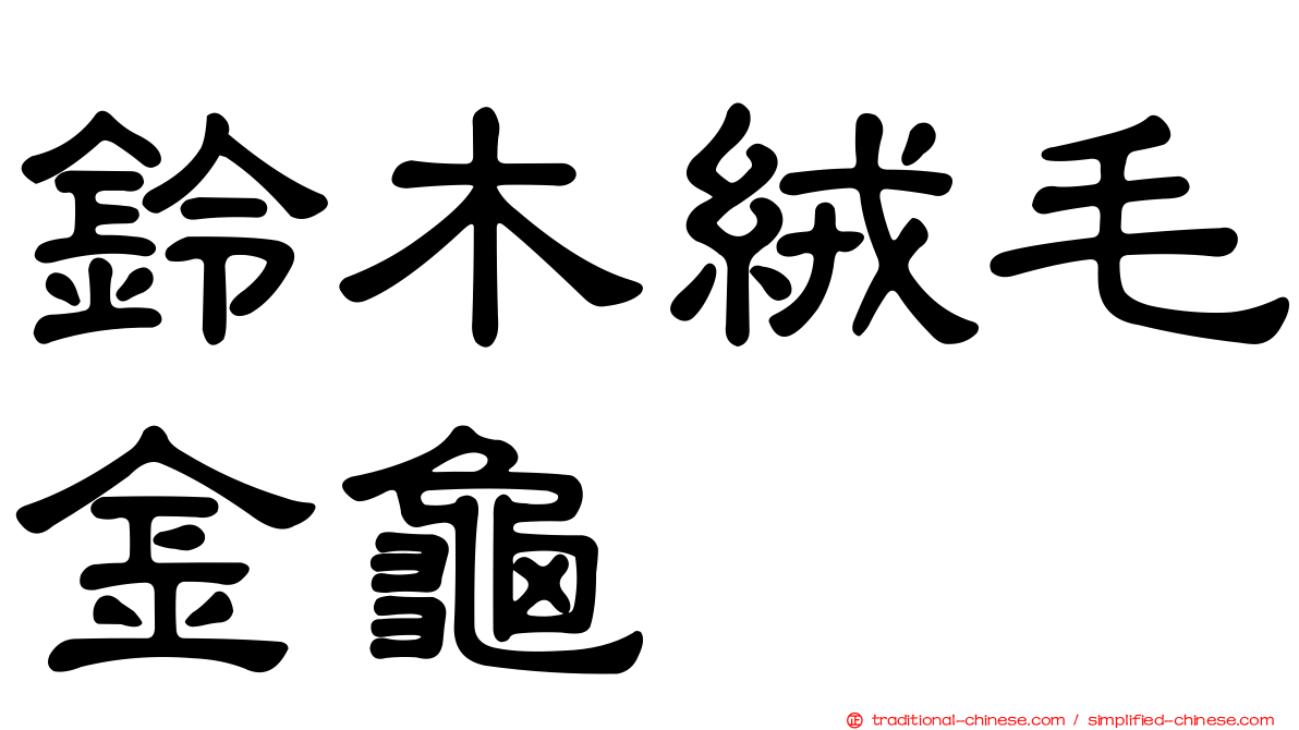 鈴木絨毛金龜