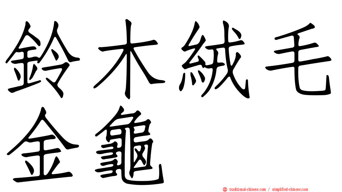 鈴木絨毛金龜