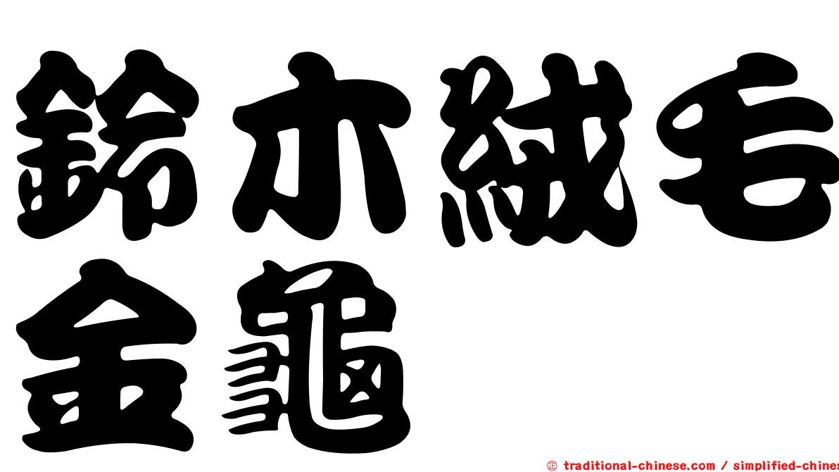 鈴木絨毛金龜