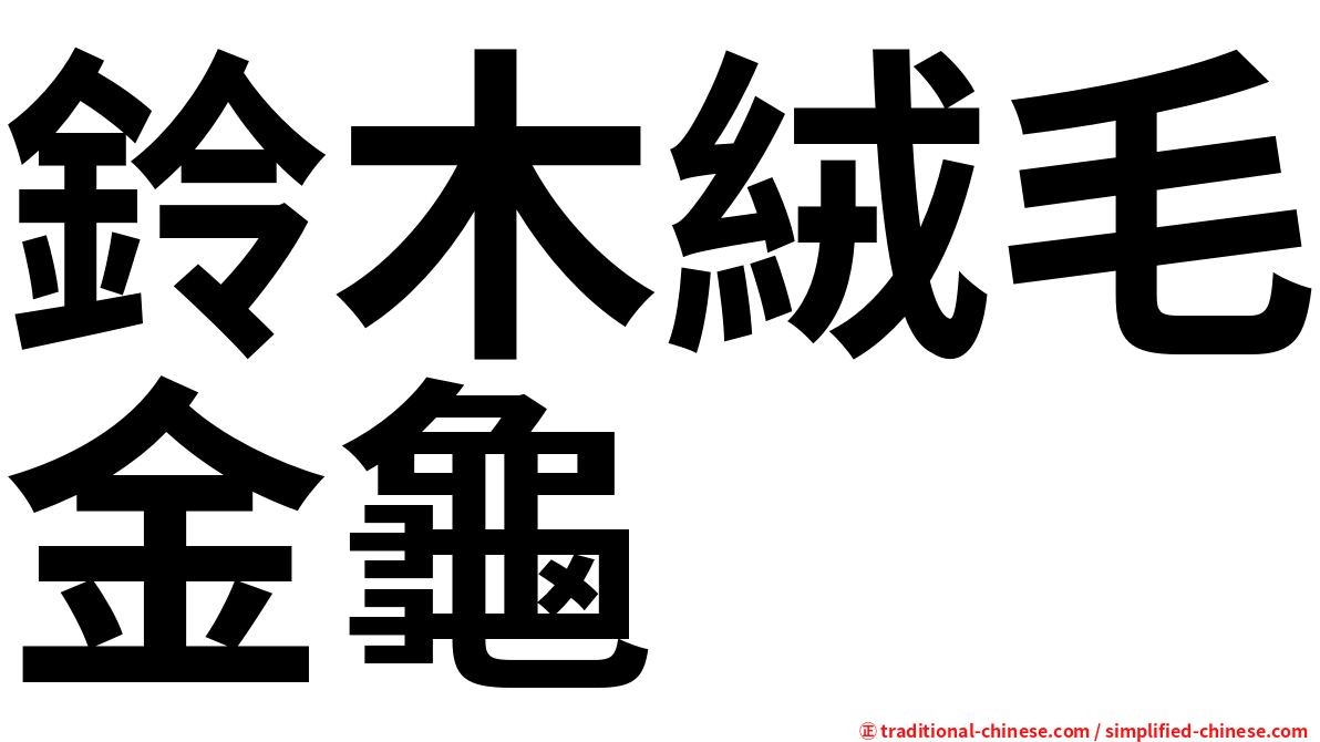 鈴木絨毛金龜