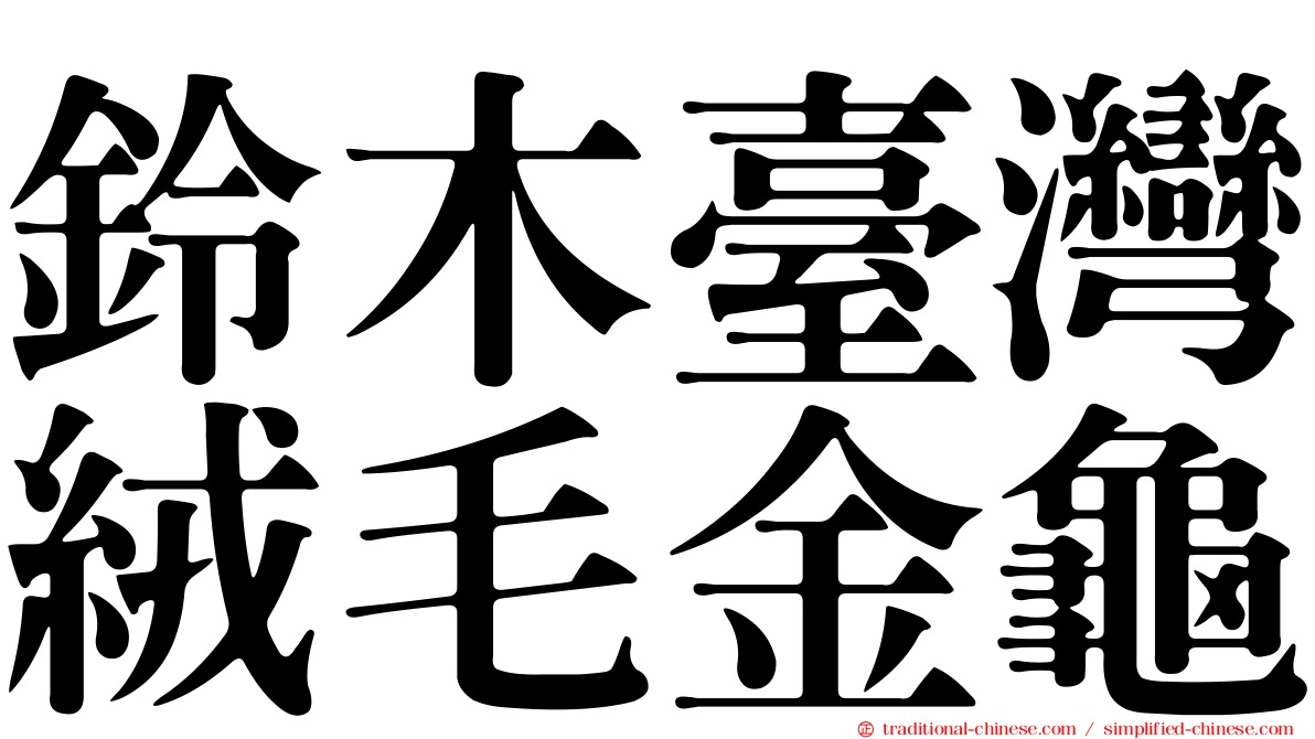 鈴木臺灣絨毛金龜