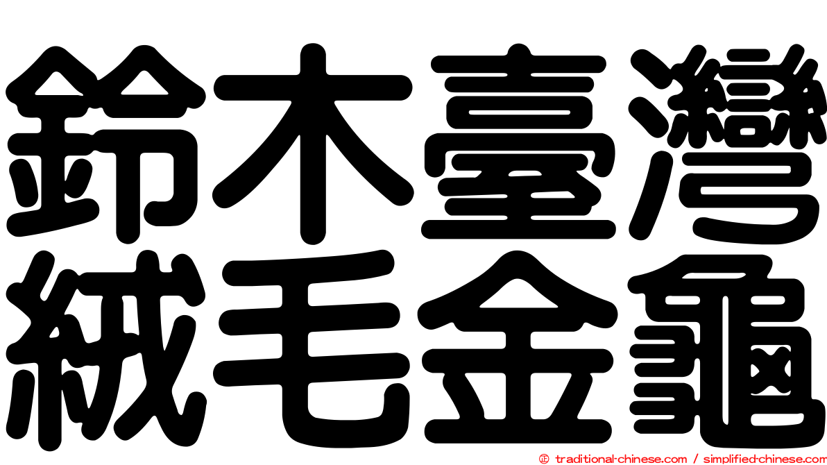 鈴木臺灣絨毛金龜