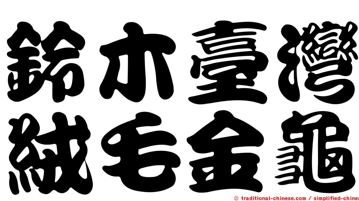鈴木臺灣絨毛金龜