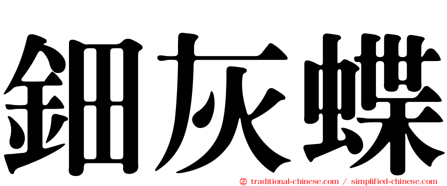 鈿灰蝶