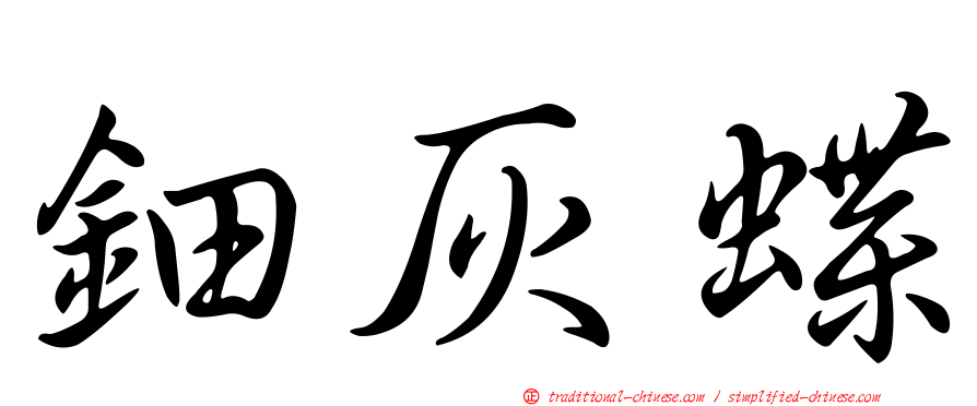 鈿灰蝶