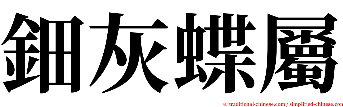 鈿灰蝶屬 serif font