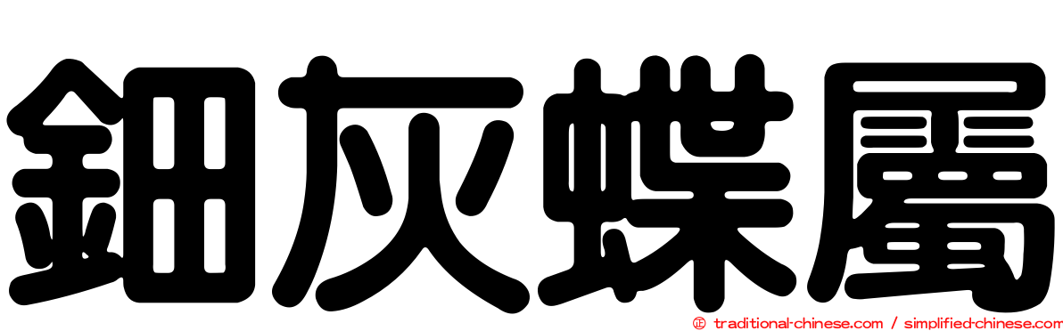 鈿灰蝶屬