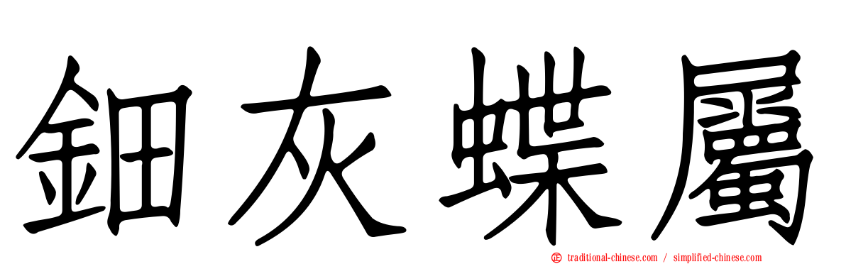 鈿灰蝶屬