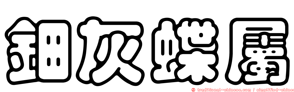 鈿灰蝶屬
