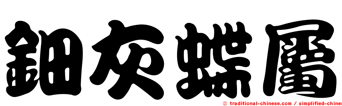 鈿灰蝶屬