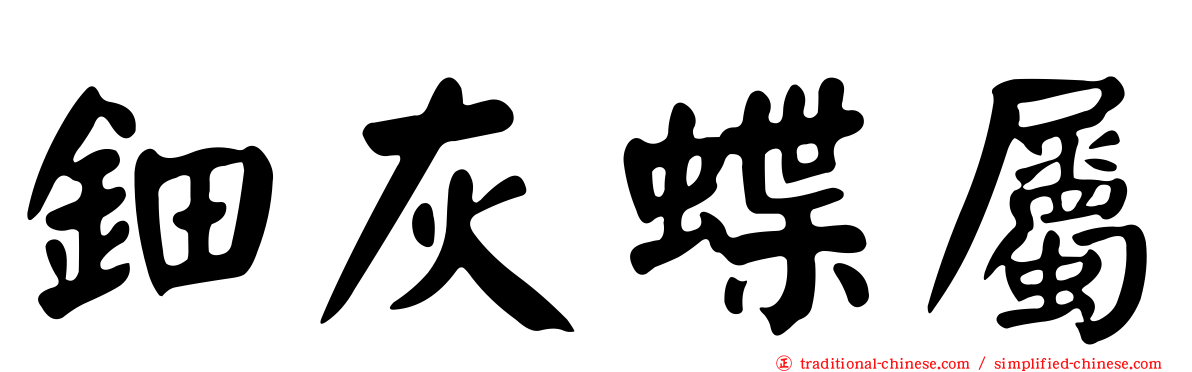 鈿灰蝶屬