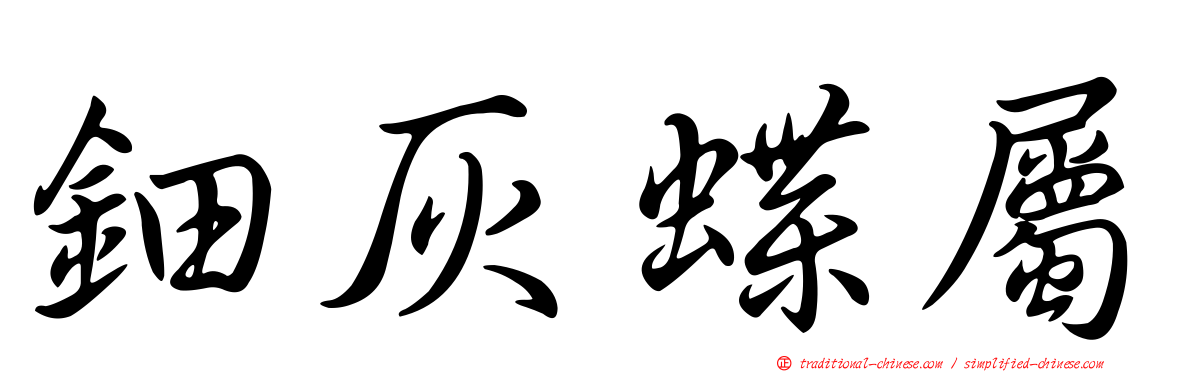 鈿灰蝶屬