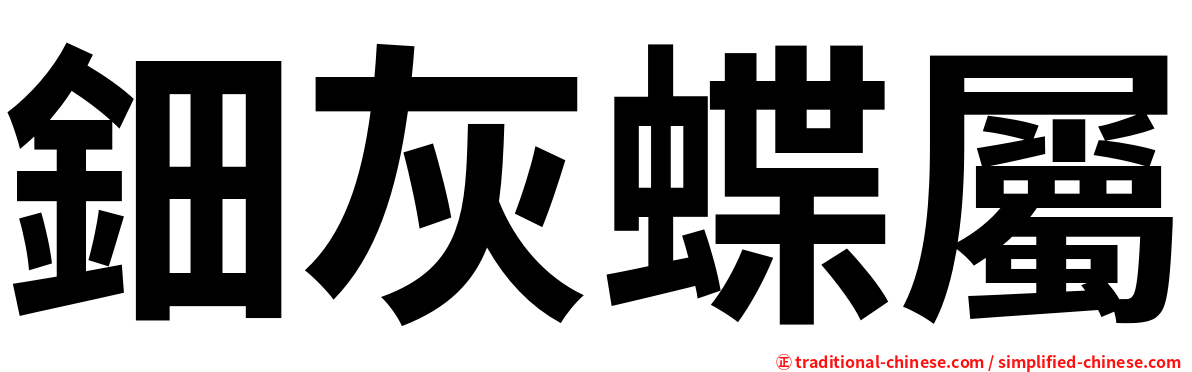 鈿灰蝶屬