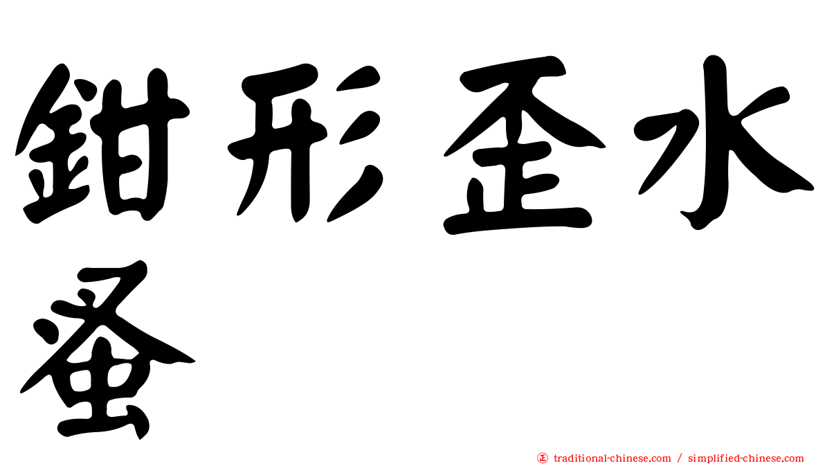 鉗形歪水蚤