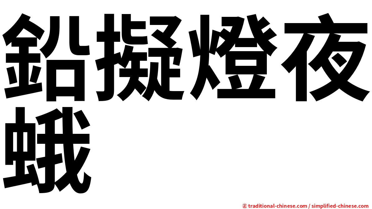 鉛擬燈夜蛾