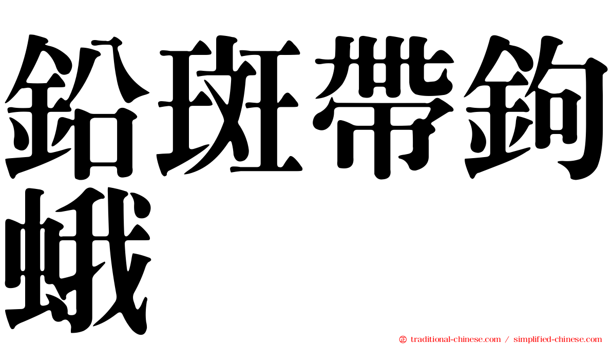 鉛斑帶鉤蛾