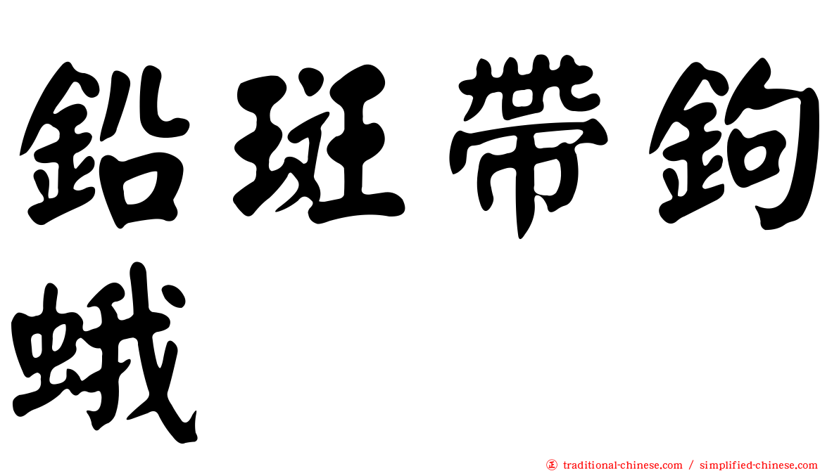 鉛斑帶鉤蛾