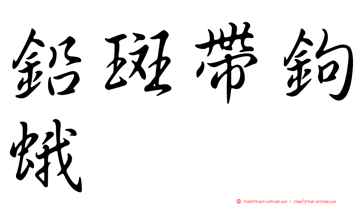 鉛斑帶鉤蛾