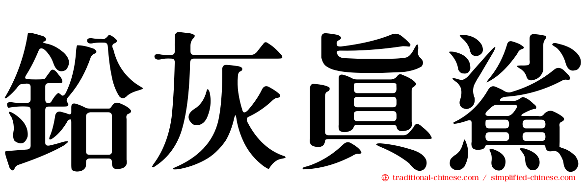 鉛灰真鯊