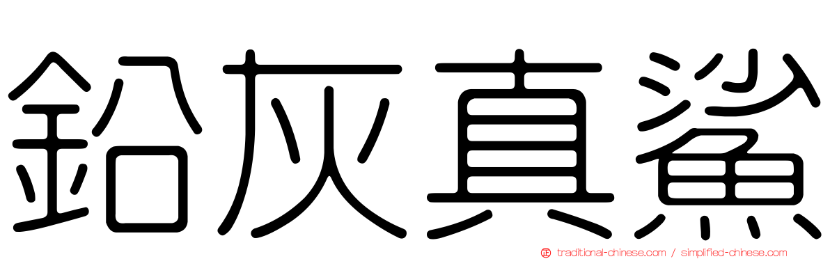 鉛灰真鯊