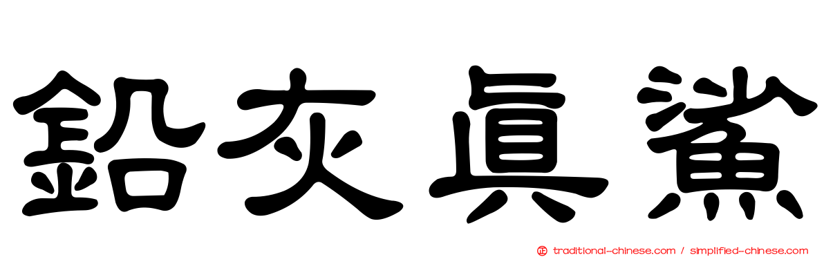 鉛灰真鯊