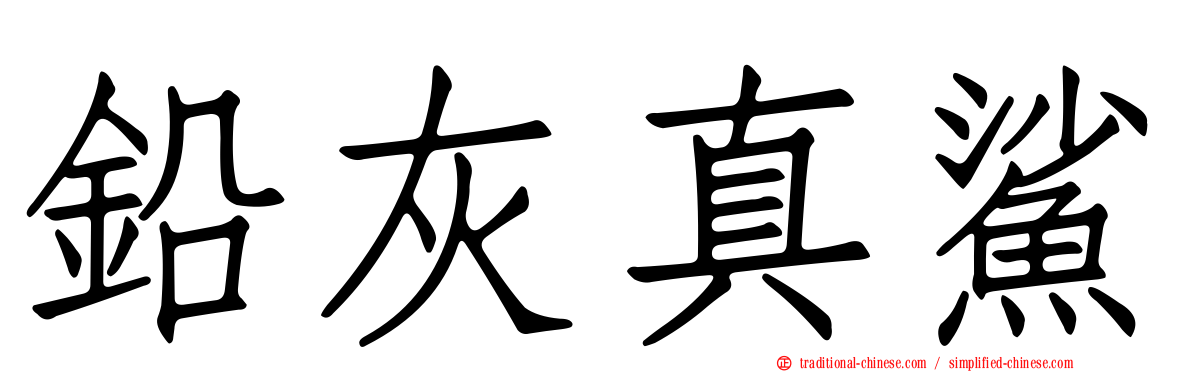 鉛灰真鯊