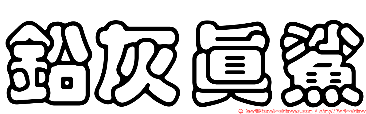 鉛灰真鯊