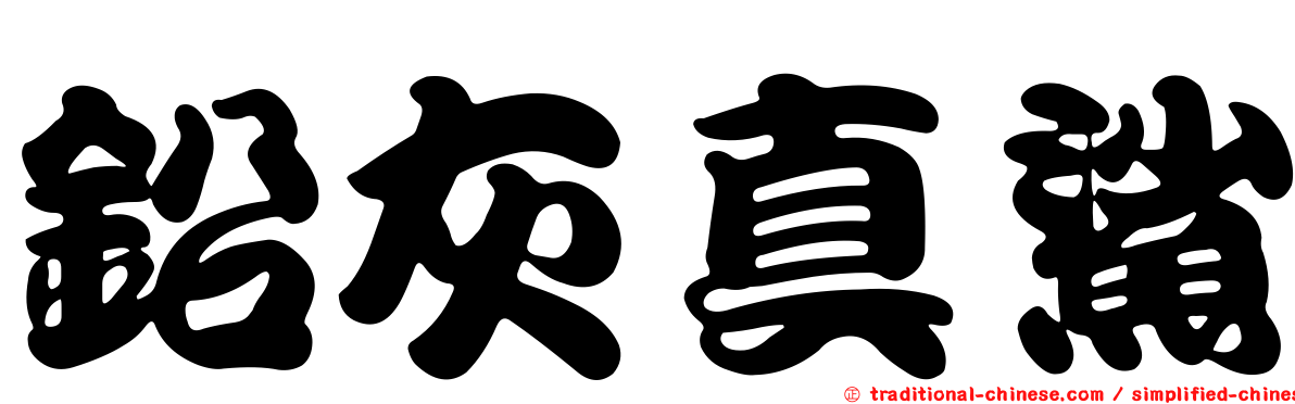 鉛灰真鯊