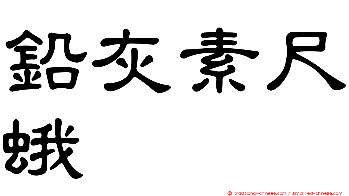 鉛灰素尺蛾