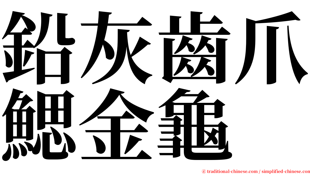 鉛灰齒爪鰓金龜 serif font
