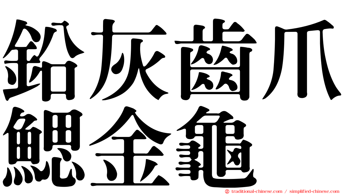 鉛灰齒爪鰓金龜