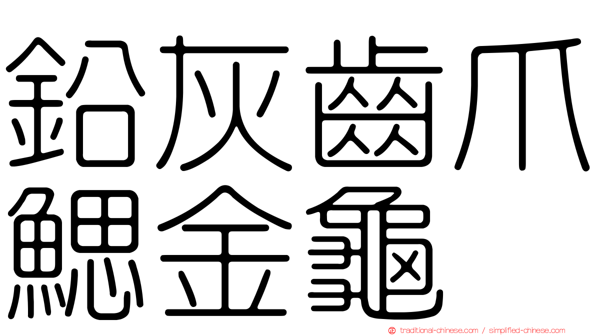 鉛灰齒爪鰓金龜