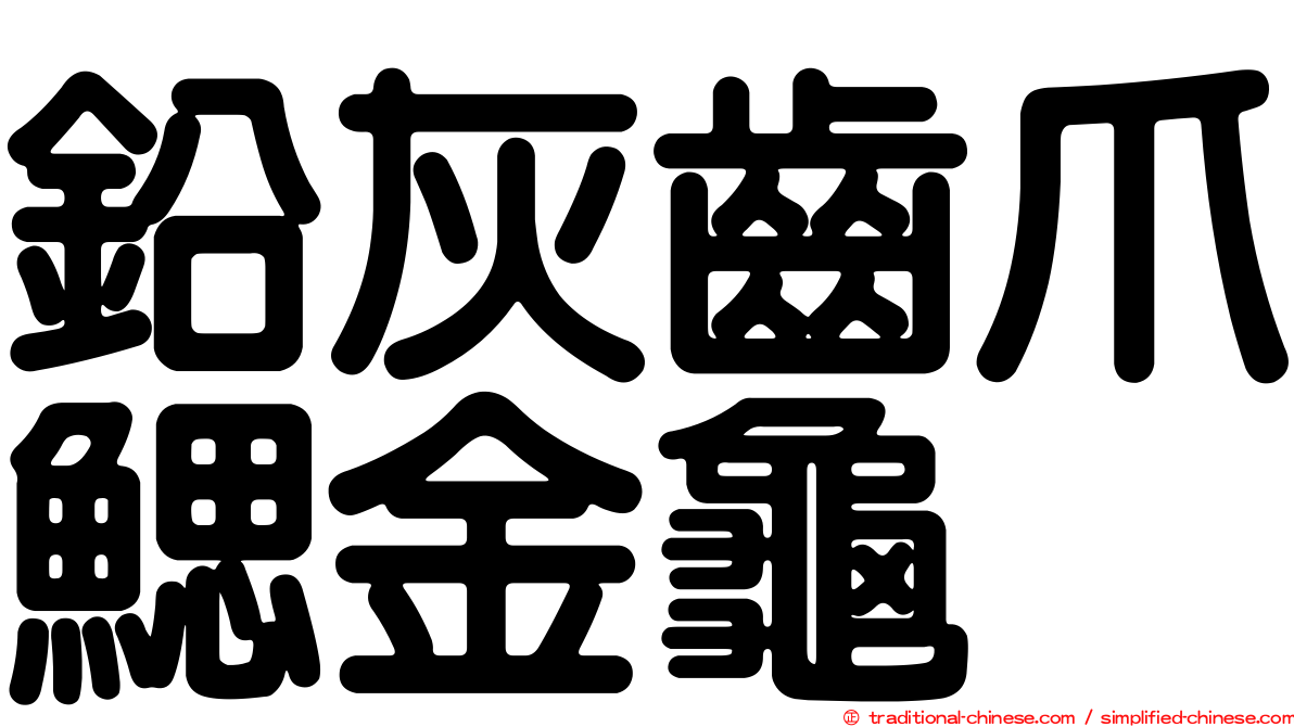 鉛灰齒爪鰓金龜