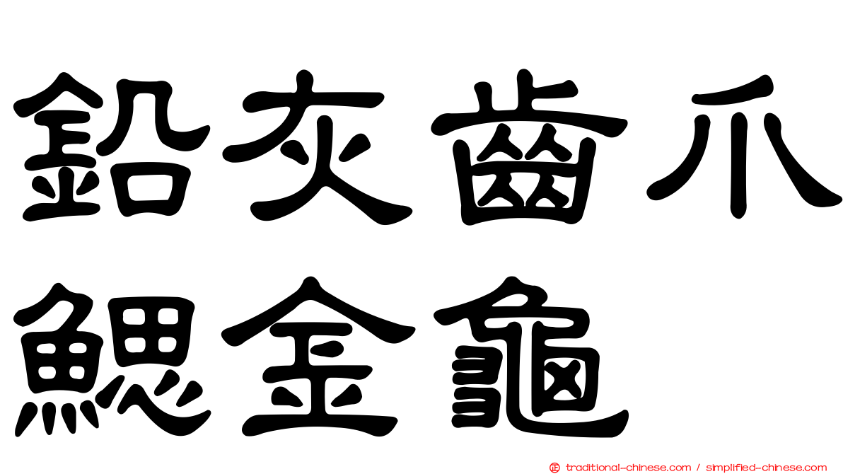 鉛灰齒爪鰓金龜