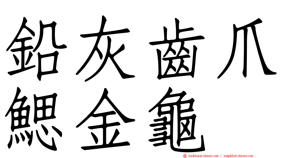 鉛灰齒爪鰓金龜