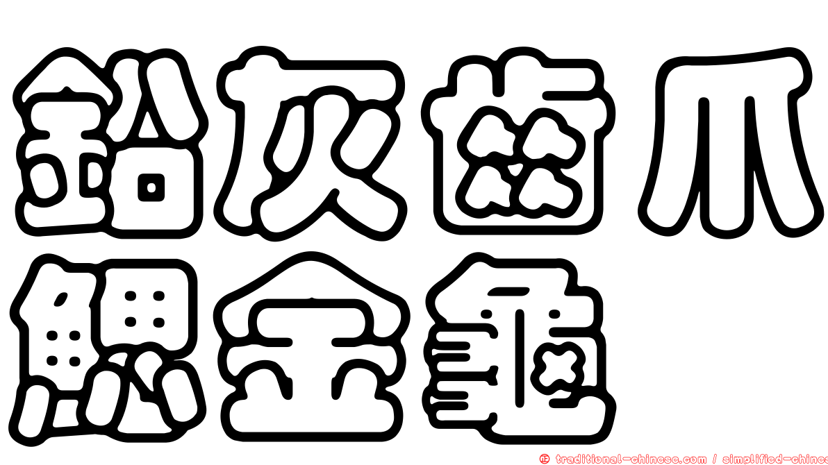 鉛灰齒爪鰓金龜