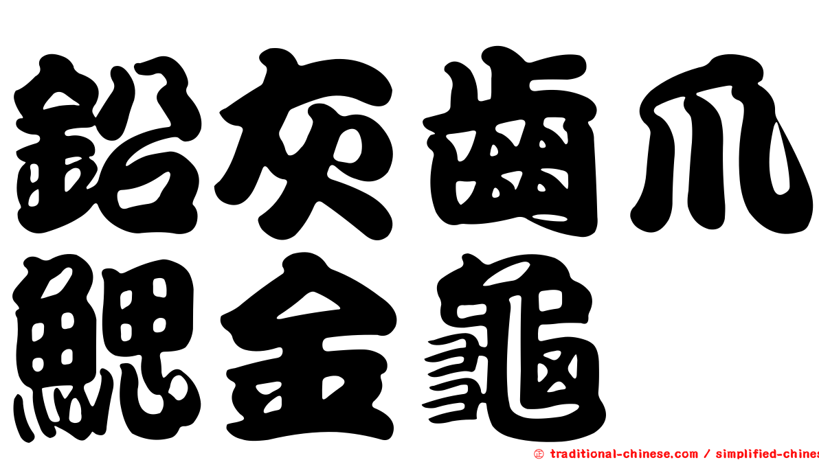 鉛灰齒爪鰓金龜