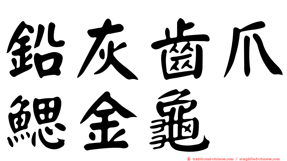 鉛灰齒爪鰓金龜