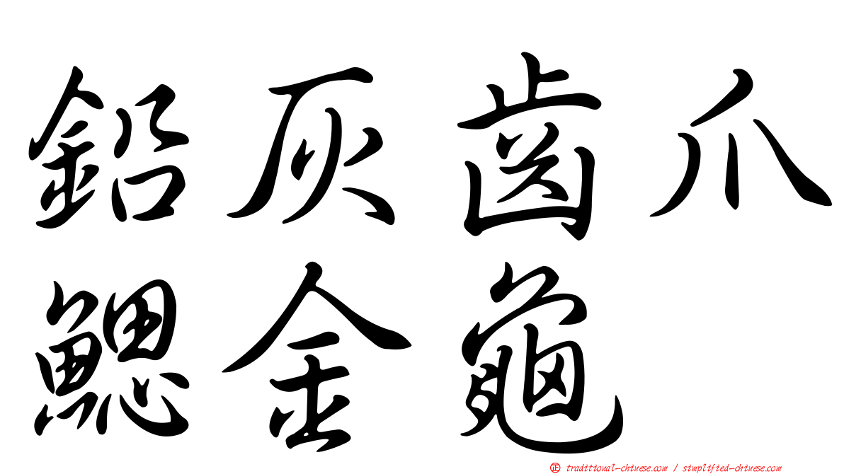 鉛灰齒爪鰓金龜