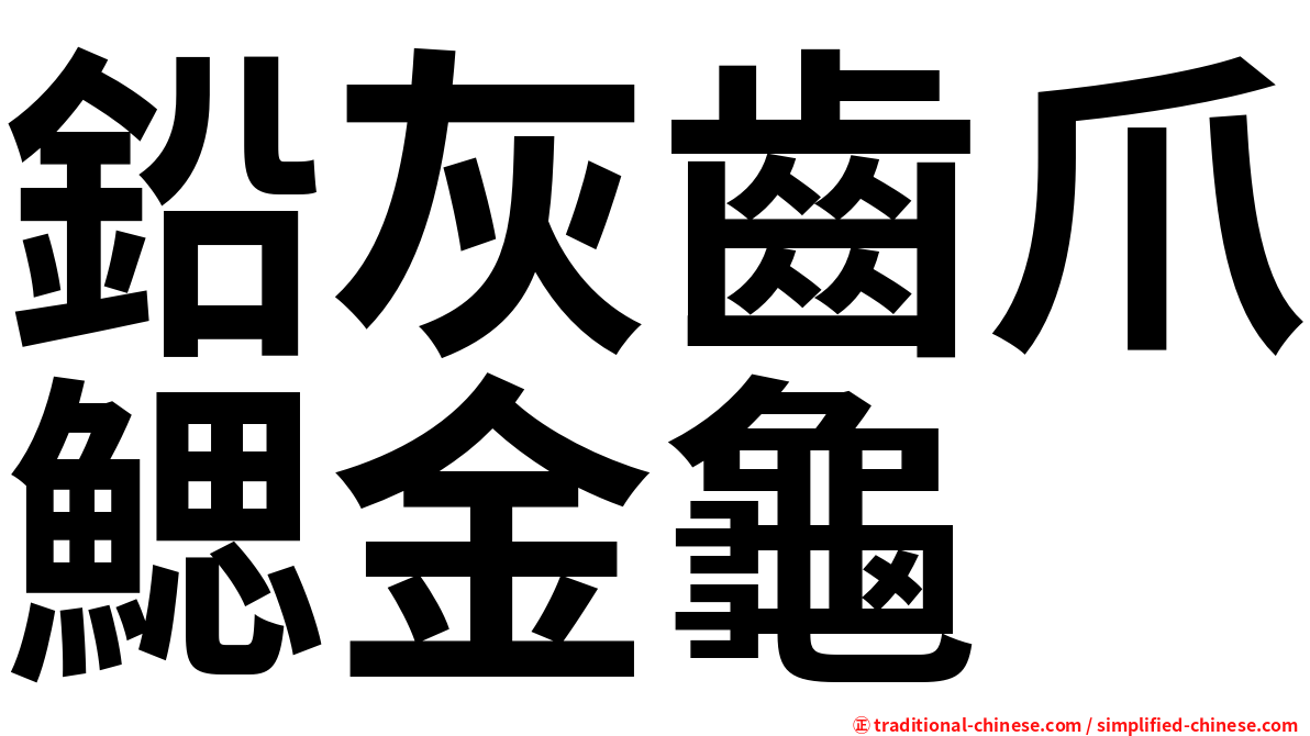 鉛灰齒爪鰓金龜
