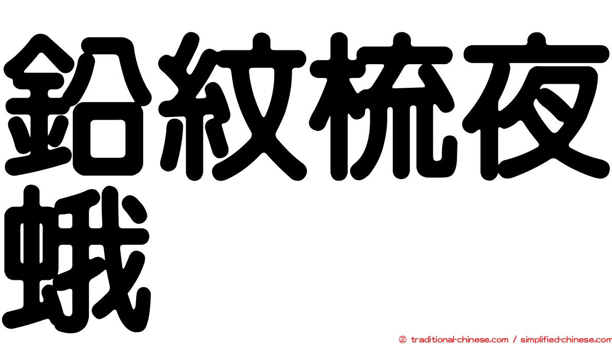 鉛紋梳夜蛾