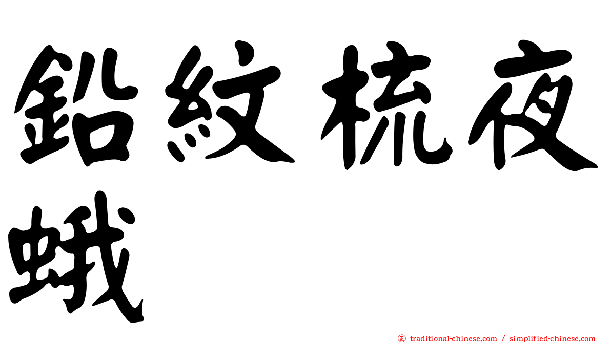 鉛紋梳夜蛾