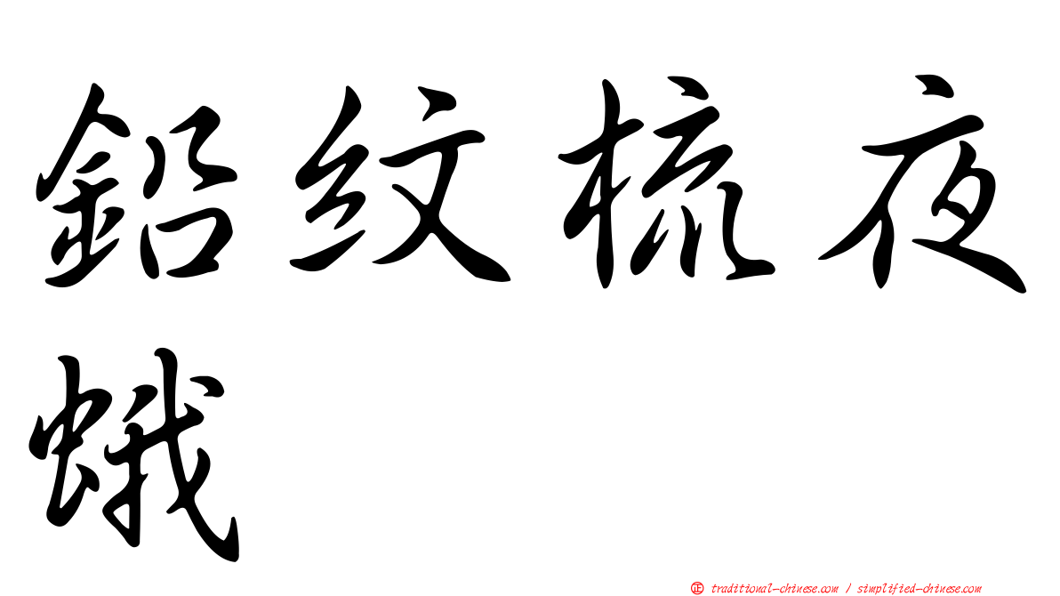 鉛紋梳夜蛾