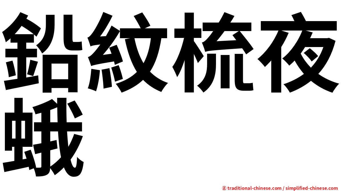 鉛紋梳夜蛾