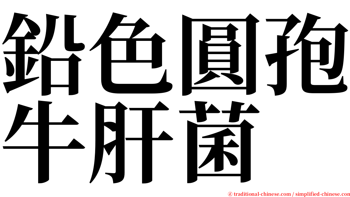 鉛色圓孢牛肝菌 serif font