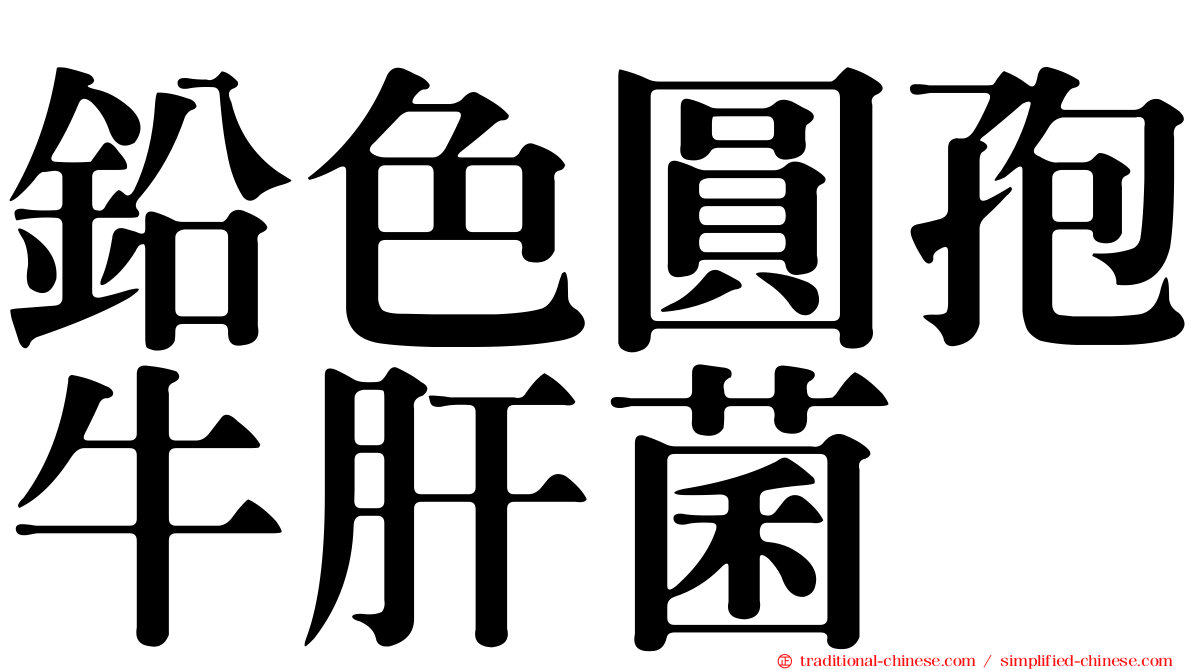 鉛色圓孢牛肝菌
