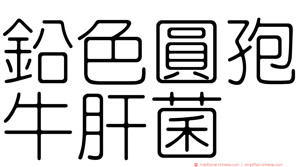 鉛色圓孢牛肝菌