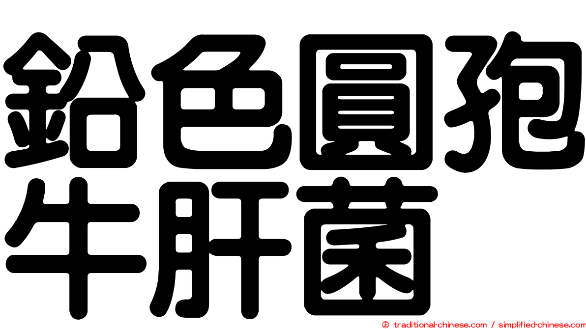 鉛色圓孢牛肝菌