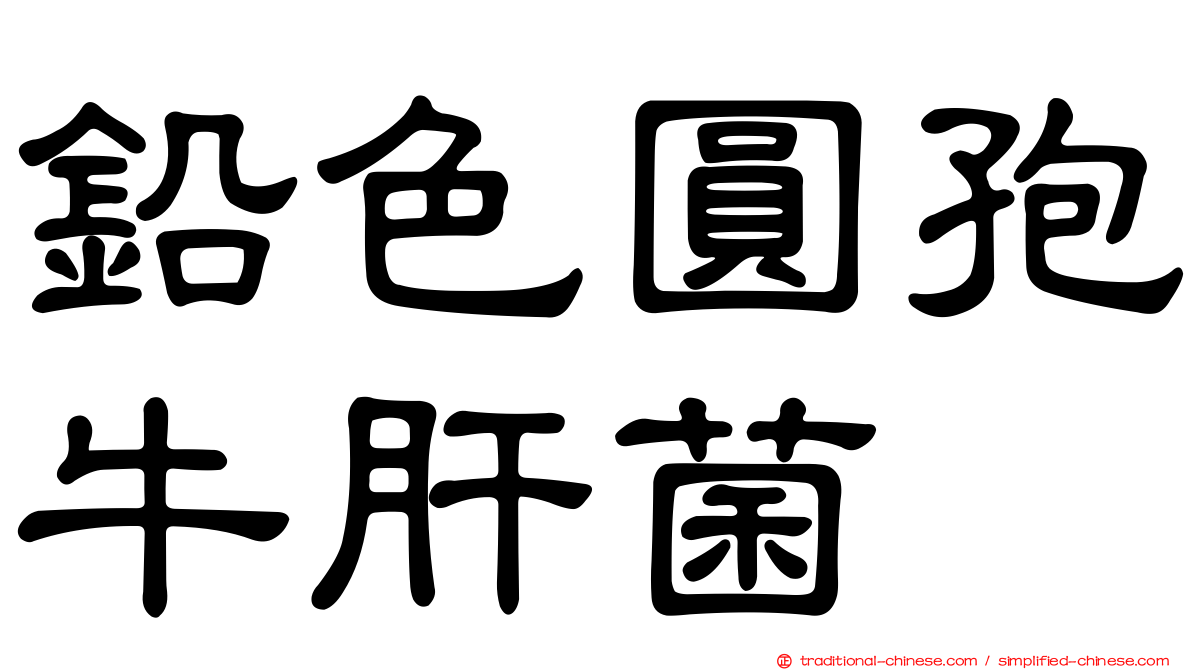 鉛色圓孢牛肝菌