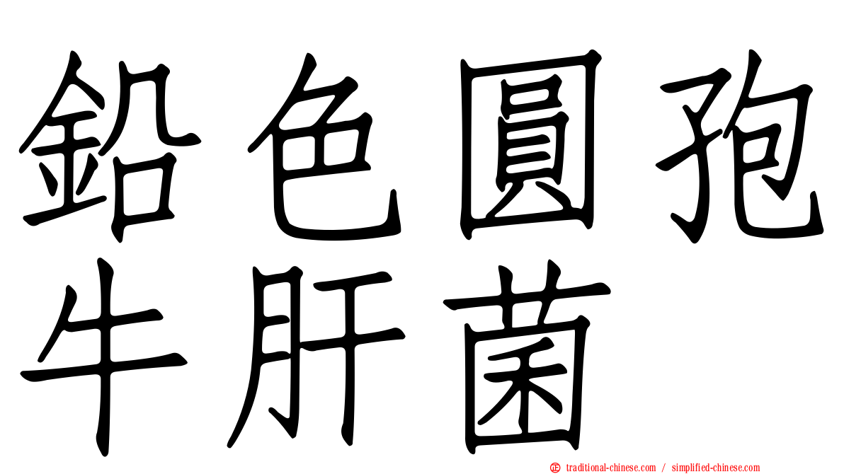 鉛色圓孢牛肝菌
